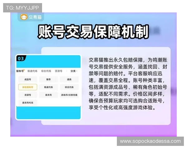 ag现金网电投网安全交易保障措施多,为玩家营造一个信用第一的在线博彩环境