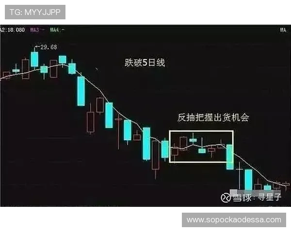 ag捕鱼稳赚方法全攻略，学会这些技巧轻松赚取更多利润