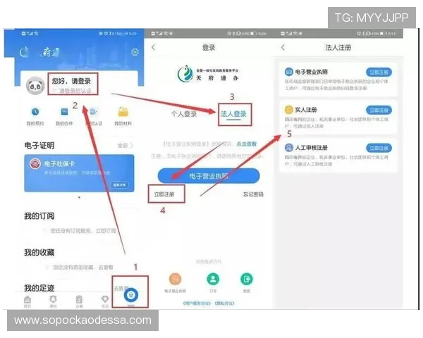 ag登录官网会员注册指南帮助你快速完成注册流程实现顺利登录
