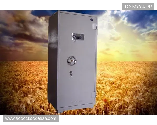 凯发K8旗舰厅App官方下载：官方正版应用下载安装流程全攻略