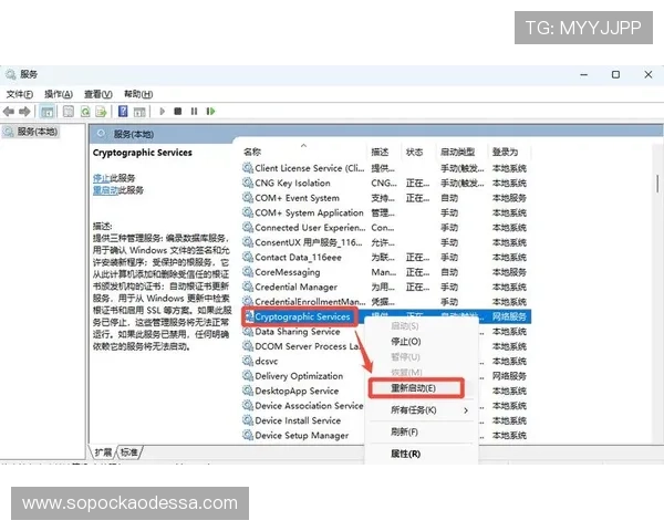 凯发旗舰厅官方网站下载后常见的安装问题及解决方法详解