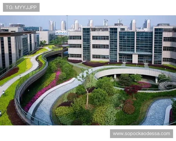 k8凯发国际如何实现公平竞技环境,打造绿色健康的游戏生态系统 k8凯发国际如何实现公平竞技环境,打造绿色健康的游戏生态系统