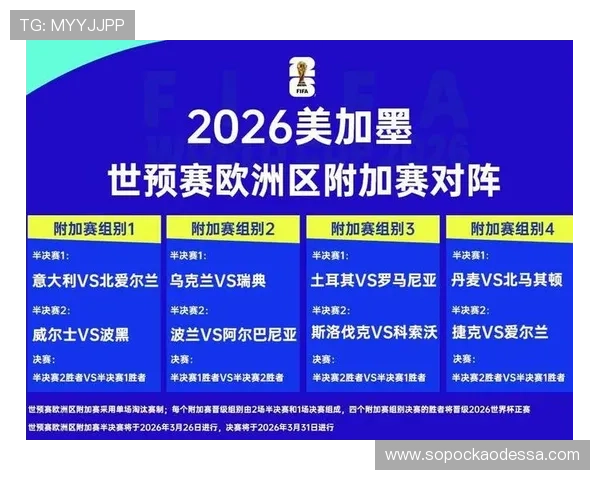 2026年世界杯举办地点详细介绍，哪些国家将成为主办城市的焦点
