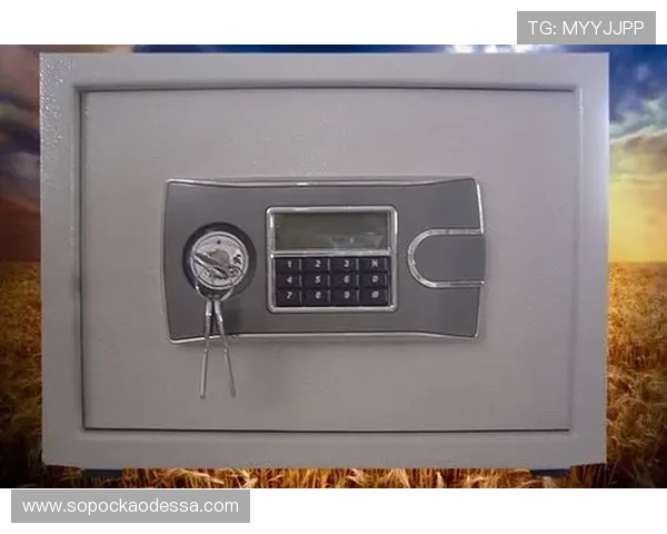 凯发K8世界杯下注用户评价与口碑分析真实用户体验分享